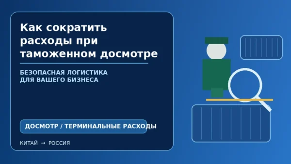 Как сократить расходы при таможенном досмотре контейнера: схема загрузки и контроль операций